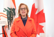 Immigration minister says universities facing financial strain should seek provincial support