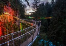Canyon Lights returns to Capilano Suspension Bridge Park