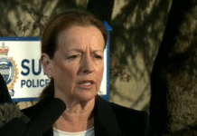 Coun. Linda Annis denies political interference, says she only “informed” Police Chief in Morgan Creek check-stop case