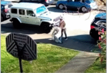 Police warn of senior-targeted thefts after 90-year-old assaulted in New Westminster