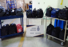 Nearly 270 kg of suspected meth seized at Blue Water Bridge, Ontario driver charged